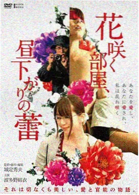 电影专区线路示意